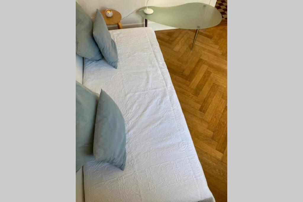 Parking & Appartement 2 Pieces Sans Traffic Lausanne Eksteriør bilde