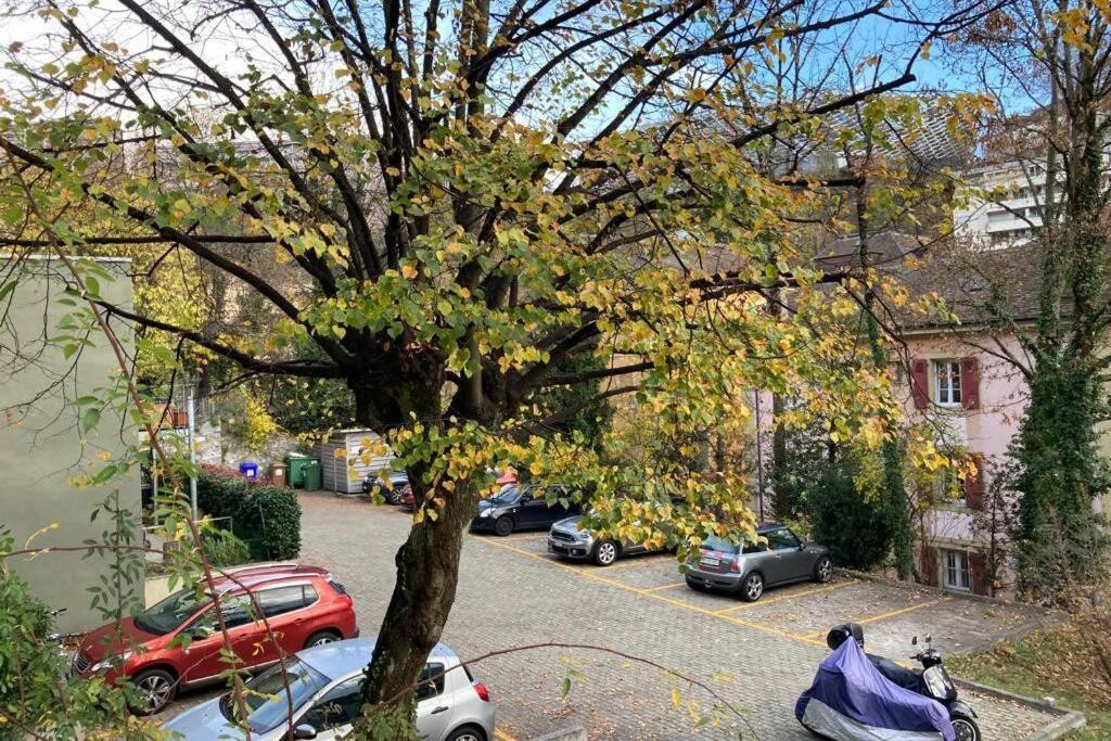 Parking & Appartement 2 Pieces Sans Traffic Lausanne Eksteriør bilde
